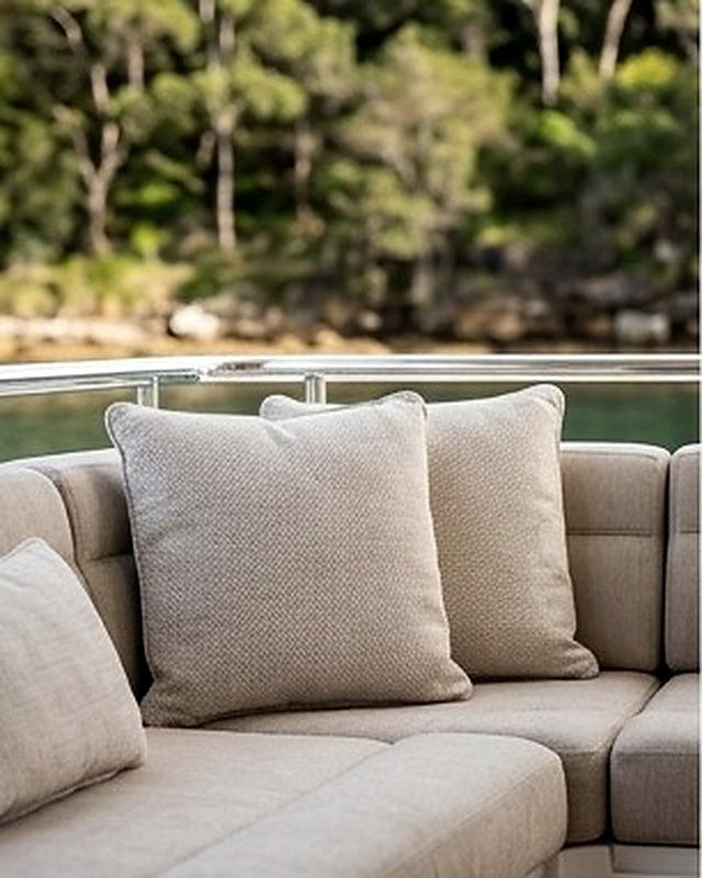 Cream cockpit upholstery with cushions, bushland shoreline behind